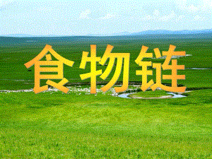 大班科学《食物链》PPT课件教案幼儿园大班科学食物链-(2).ppt