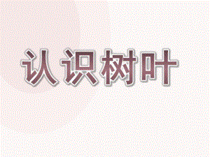 小班数学《水果接龙》PPT课件教案小班数学-水果接龙.ppt