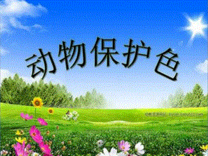 送其他版本类似课件保护色ppt-.ppt