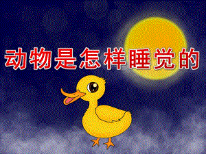 大班助教活动《动物是怎样睡觉的》PPT课件教案PPT课件.ppt