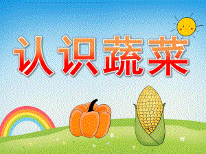 小班科学《认识蔬菜》PPT课件教案PPT课件.ppt