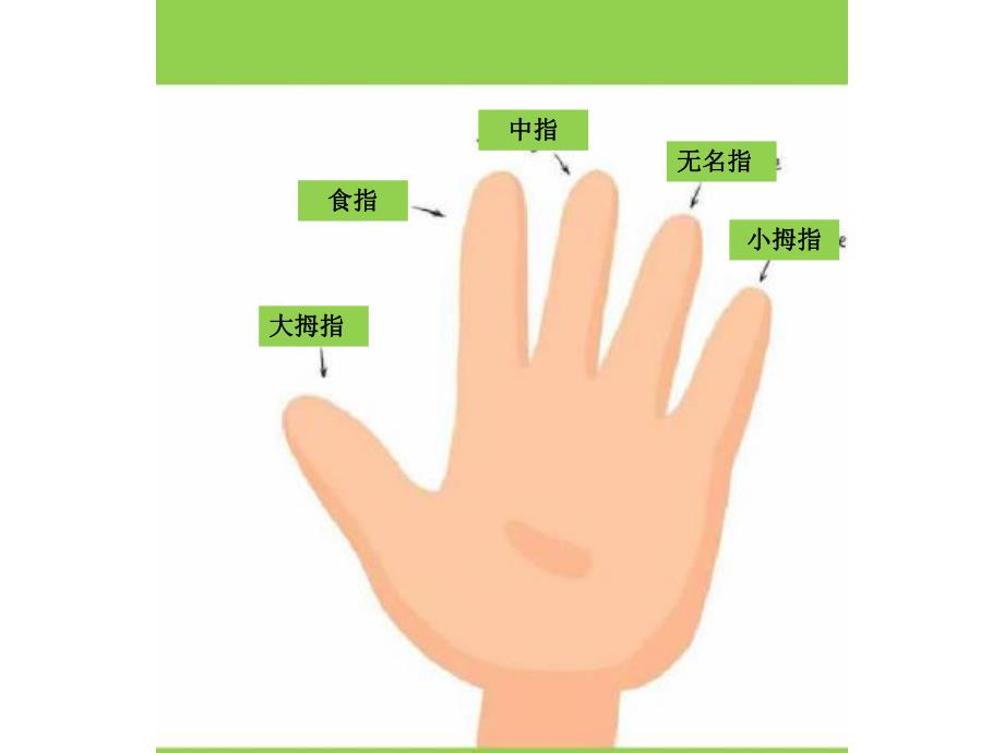 大班探索《脚趾头起名字》PPT课件教案脚趾头起名字.ppt_第3页