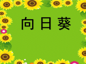 大班美术公开课《向日葵》PPT课件教案幼儿园大班美术课《向日葵》教学课件.ppt