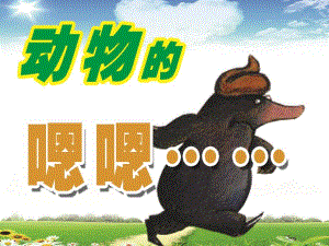 小班科学《动物的嗯嗯》PPT课件教案ppt课件.ppt