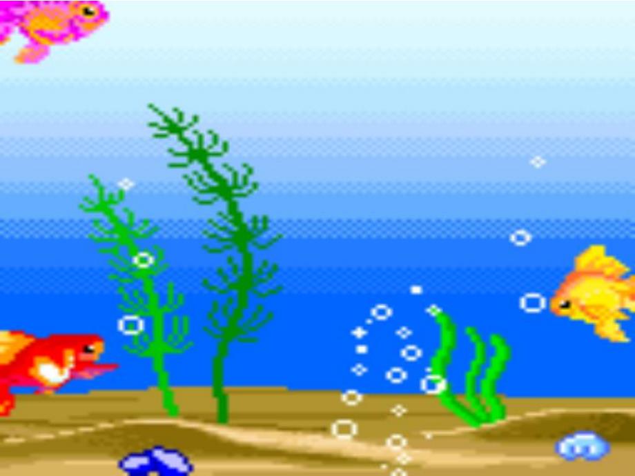 小班美术《美丽的鱼》PPT课件教案绘画：美丽的鱼.ppt_第3页