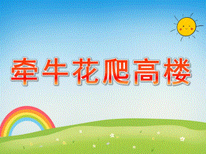 小班语言《牵牛花爬高楼》PPT课件教案牵牛花爬高楼.ppt