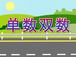 大班数学活动《单数双数》PPT课件教案单数双数.ppt