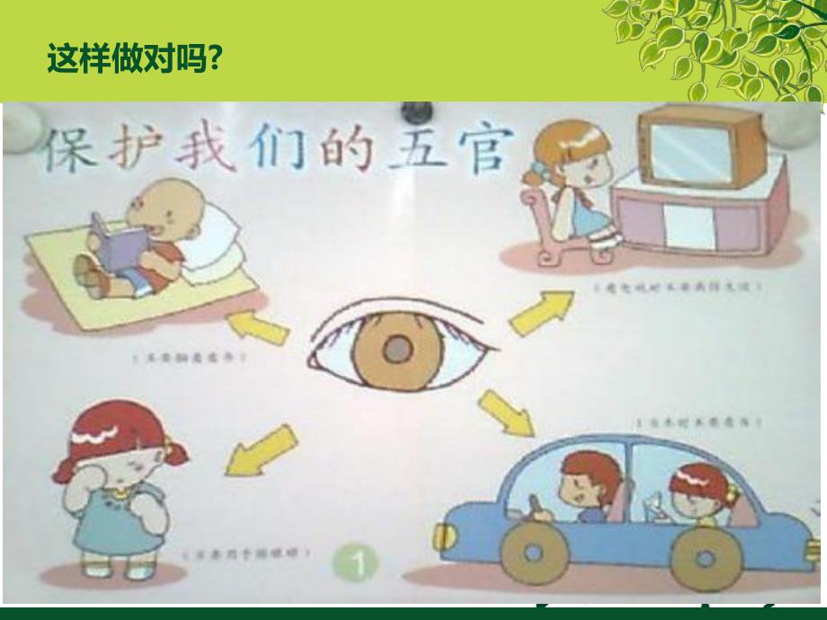 大班健康活动《有用的五官》PPT课件大班健康活动《有用的五官》PPT课件.ppt_第2页