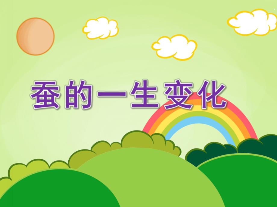 大班科学《蚕的一生变化》PPT课件教案蚕的一生变化.ppt_第1页