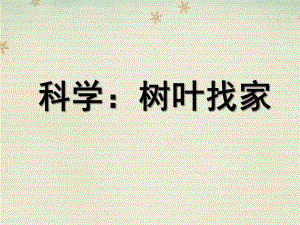 大班科学《树叶找家》PPT课件教案大班科学：树叶找家.ppt
