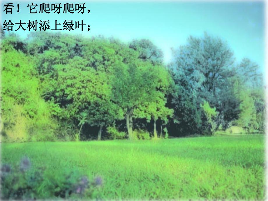 大班语言《夏天像个绿娃娃》PPT课件教案夏天像个绿娃娃.ppt_第3页