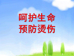 幼儿园安全教育《预防烫伤》PPT课件预防烫伤-课件.ppt