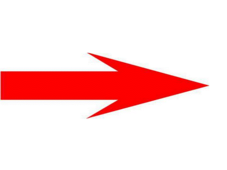 大班科学活动《不一样的它们》PPT课件教案不一样的它们.ppt_第2页