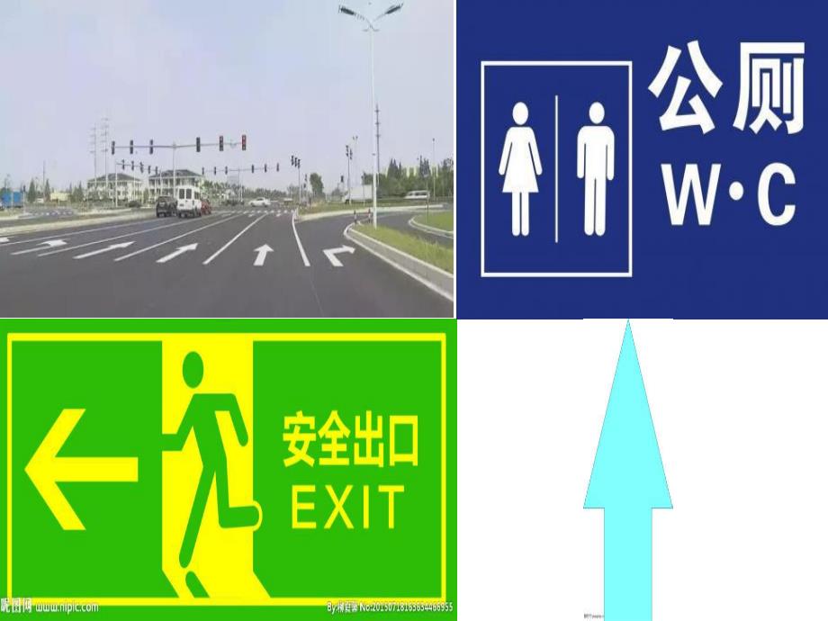 大班科学活动《不一样的它们》PPT课件教案不一样的它们.ppt_第3页