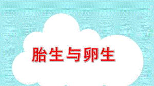 大班科学《卵生动物与胎生动物》PPT课件教案PPT.ppt