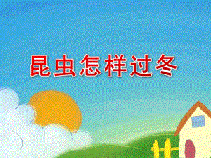 大班科学活动《昆虫怎样过冬》PPT课件大班科学活动《昆虫怎样过冬》PPT课件.ppt