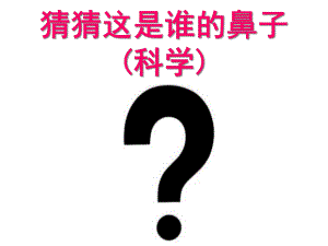 小班科学《猜猜这是谁的鼻子》PPT课件猜猜这是谁的鼻子.ppt