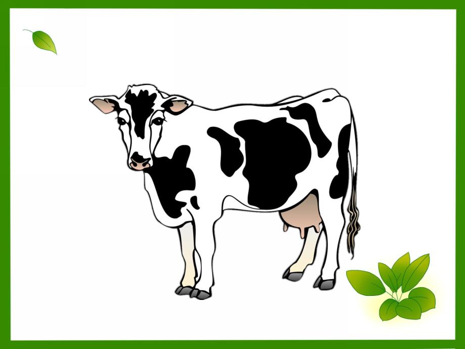 小班美术《黑白皮毛的朋友》PPT课件教案黑白皮毛的朋友.ppt_第3页