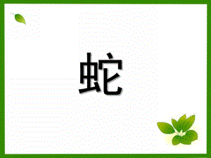 大班美术《蛇》PPT课件教案大班美术——蛇.ppt