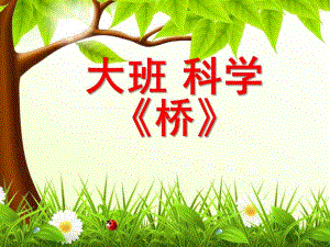 大班科学《桥》PPT课件教案大班科学《桥》.ppt