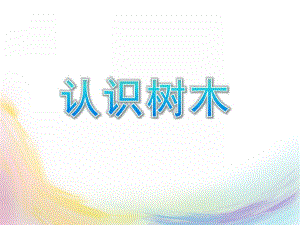 小班科学《认识树木》PPT课件教案认识树木.ppt