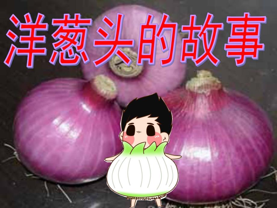 大班社会《洋葱头的故事》PPT课件教案洋葱头的故事.ppt_第1页