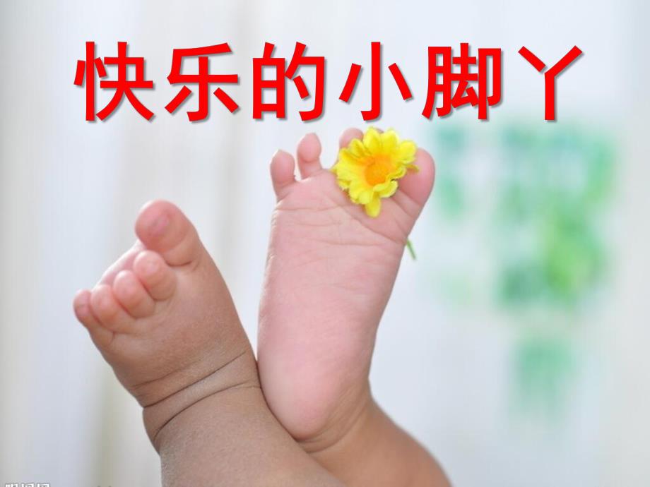 大班健康活动《快乐的小脚丫》PPT课件教案PPT课件.ppt_第1页