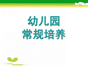 幼儿园班级常规管理PPT课件幼儿园班级常规管理.ppt
