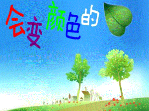 中班科学《天的树》PPT课件教案25ccb6edf61fb7360b4c6521.ppt