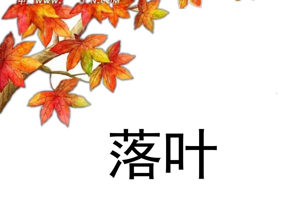 中班诗歌落叶PPT课件教案PPT课件.ppt_第3页
