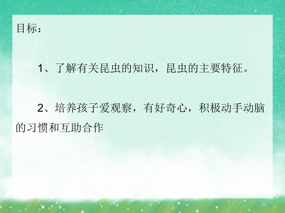 大班科学《虫儿的秘密》PPT课件大班科学《虫儿的秘密》PPT课件.ppt_第2页