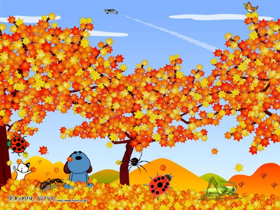 大班科学《虫儿的秘密》PPT课件大班科学《虫儿的秘密》PPT课件.ppt_第3页