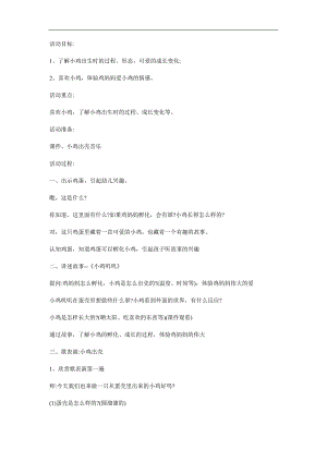 中班语言《小鸡叽叽》PPT课件教案参考教案.docx