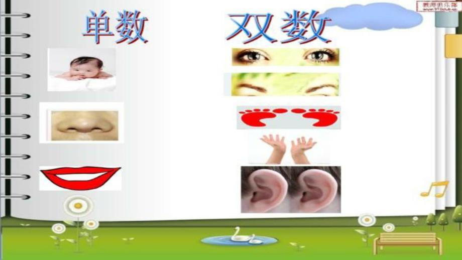 大班数学活动《认识单数和双数》PPT课件教案PPT课件.ppt_第3页