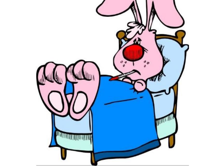 小班安全《兔奶奶生病了》PPT课件教案兔奶奶生病了.ppt_第2页