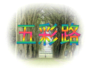 小班美术活动《五彩路》PPT课件教案.ppt