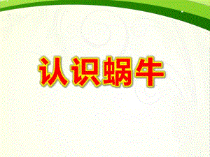 小班认识蜗牛PPT课件教案图片《蜗牛》PPT课件.ppt