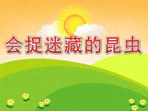 中班科学《会捉迷藏的昆虫》PPT课件教案PPT课件.ppt