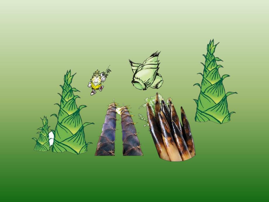 小班语言儿歌课件《竹子谣》PPT课件教案ppt课件.ppt_第3页