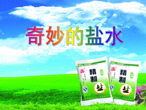 大班科学活动《奇妙的盐水》PPT课件教案PPT课件.ppt