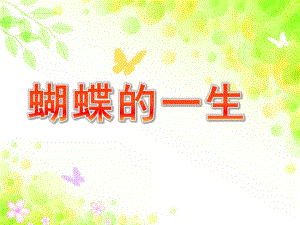 大班科学《蝴蝶的一生》PPT课件教案大班科学蝴蝶的一生.ppt