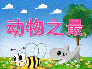 大班科学《动物之最》PPT课件教案PPT课件.ppt
