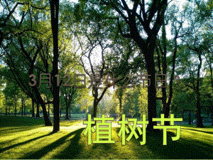 大班《植树节》PPT课件教案幼儿园大班植树节.ppt