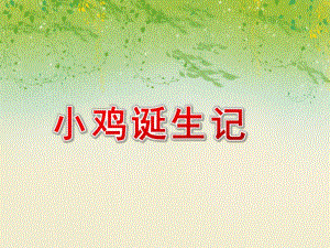 小班科学《小鸡诞生记》PPT课件小班科学《小鸡诞生记》.ppt