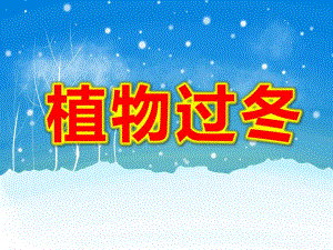 大班科学《植物过冬》PPT课件教案植物怎样过冬.ppt