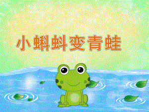 中班科学《小蝌蚪变青蛙》PPT课件教案视频PPT课件.ppt