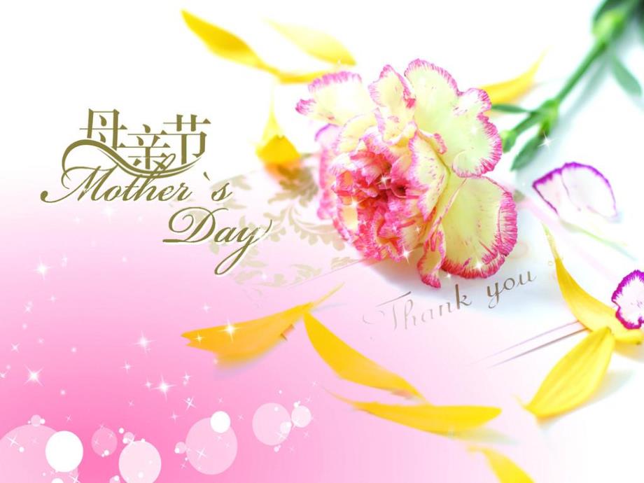 大班社会活动《感恩母亲节》PPT课件大班社会活动《感恩母亲节》PPT课件.ppt_第2页