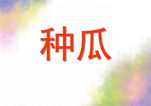 大班语言《种瓜》PPT课件教案种瓜大班语言.ppt