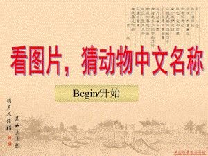 幼儿园看图片猜动物中文名称PPT课件看图片-猜动物中文名称.ppt