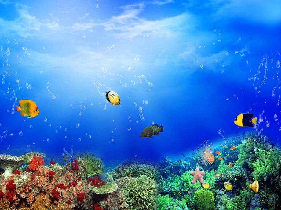 大班美工活动《报纸鱼》PPT课件教案大班-报纸鱼.ppt_第3页